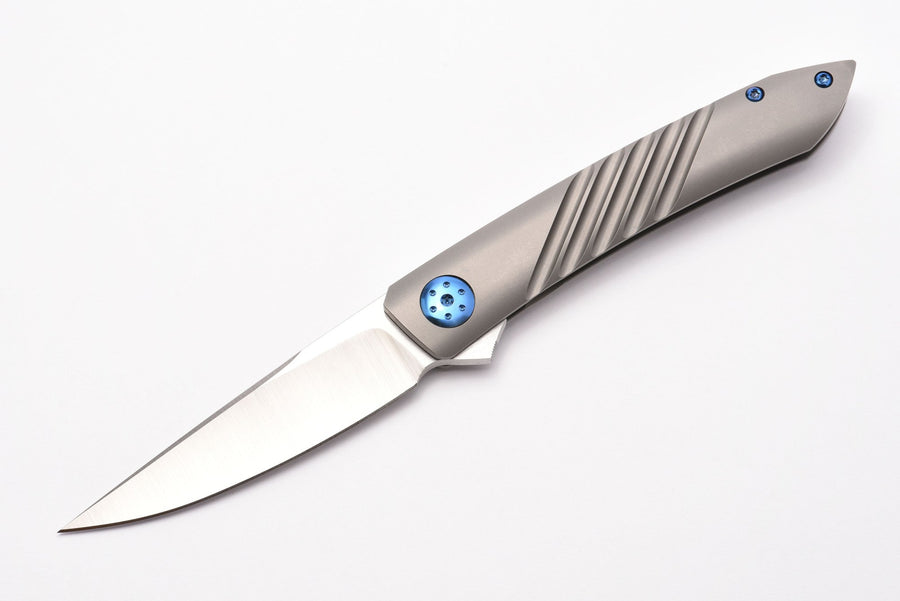 Anchovy w/ Grooves